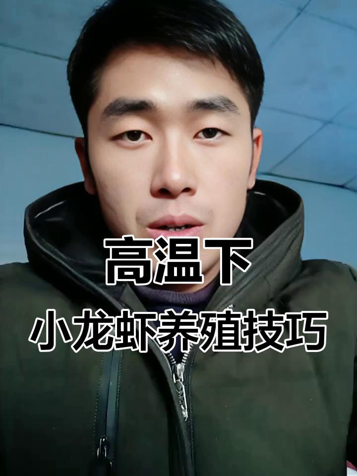 如何科學管理紅龍蝦養殖？