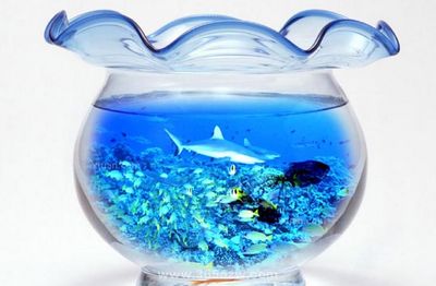 魚缸品牌一線品牌推薦（魚缸品牌一線品牌推薦,）