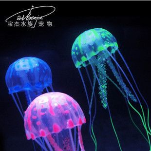 水母 魚缸：水族景觀工程案例欣賞，水母缸日常維護(hù)要點(diǎn)