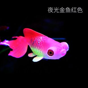 水母 魚缸：水族景觀工程案例欣賞，水母缸日常維護(hù)要點(diǎn)