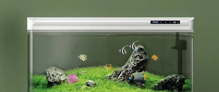 水母 魚缸：水族景觀工程案例欣賞，水母缸日常維護(hù)要點(diǎn)