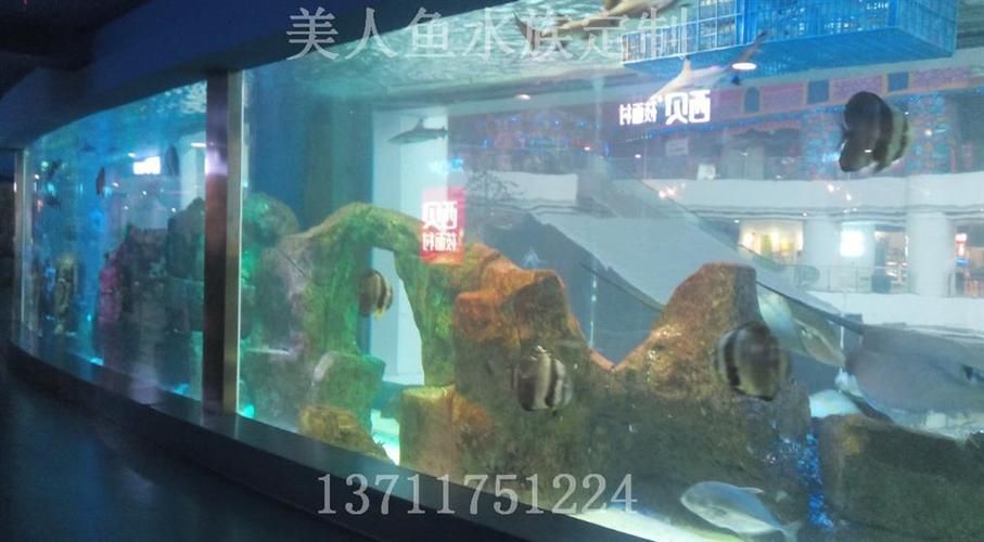 廣州水族文化探秘廣州水族文化探秘水族文化探秘：如何打造個性化魚缸造景 廣州水族文化探秘廣州水族文化探秘水族文化探秘：如何打造個性化魚缸造景 魚缸百科 第3張