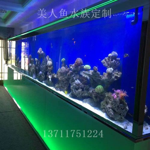廣州水族文化探秘廣州水族文化探秘水族文化探秘：如何打造個性化魚缸造景 廣州水族文化探秘廣州水族文化探秘水族文化探秘：如何打造個性化魚缸造景 魚缸百科 第1張