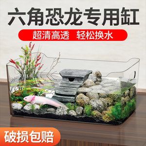 六角恐龍魚缸造景石子（六角恐龍魚缸造景石子在選擇時需要注意以下幾點）