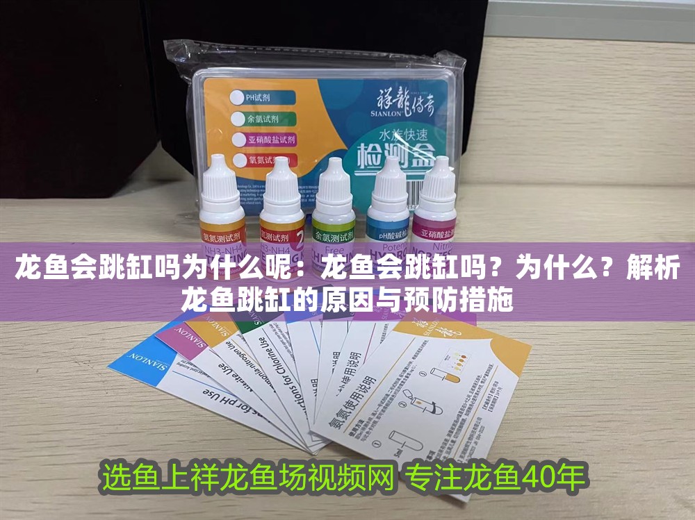 龍魚會跳缸嗎為什么呢：龍魚會跳缸嗎？為什么？解析龍魚跳缸的原因與預(yù)防措施