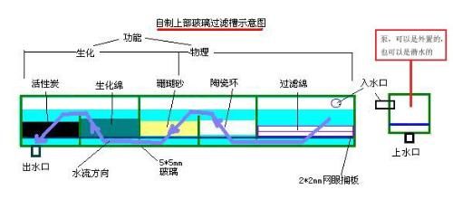 魚缸底濾魚缸底濾的科學布局科學布局魚缸底濾的科學布局：生化魚缸底濾的科學布局