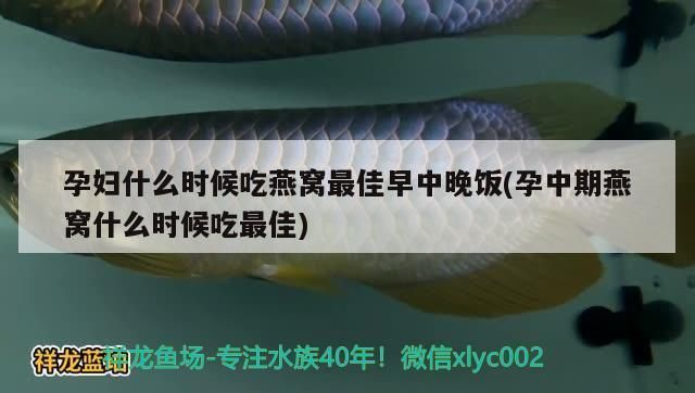 魚缸出水設計：魚缸出水口設計 魚缸出水設計：魚缸出水口設計 魚缸百科 第4張