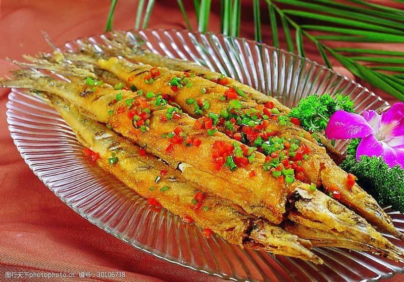 小龍魚照片：小龍魚照片與小龍魚相關的照片是一些與小龍魚相關的照片