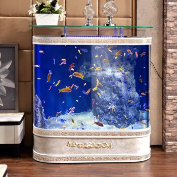 家美奇魚缸怎么樣好用嗎知乎：家美奇魚缸優缺點分析 家美奇魚缸怎么樣好用嗎知乎：家美奇魚缸優缺點分析 魚缸百科 第4張