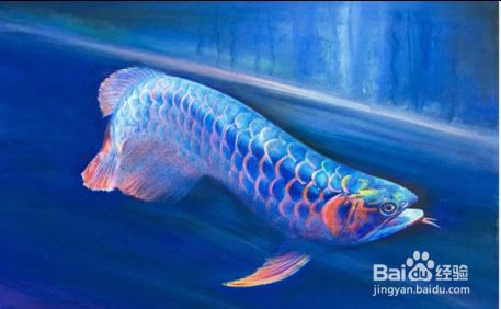 如何改善龍魚的水質(zhì)：龍魚飼料選擇指南 如何改善龍魚的水質(zhì)：龍魚飼料選擇指南 龍魚百科 第3張