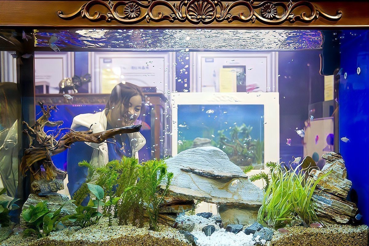 白色恐龍魚是什么