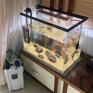 森森魚缸最新款安裝視頻:森森魚缸最新款安裝視頻詳情 魚缸百科 第3張 森森魚缸最新款安裝視頻:森森魚缸最新款安裝視頻詳情 森森魚缸最新款安裝視頻:森森魚缸最新款安裝視頻詳情 魚缸百科 第3張