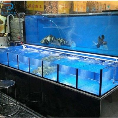 海鮮魚缸養殖需要注意的細節：海鮮魚缸養殖時需要注意以下幾個方面的細節延伸閱讀發送 海鮮魚缸養殖需要注意的細節：海鮮魚缸養殖時需要注意以下幾個方面的細節延伸閱讀發送 魚缸百科 第3張