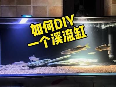 晶晶魚缸官網：晶晶魚缸價格對比分析晶晶魚缸價格對比