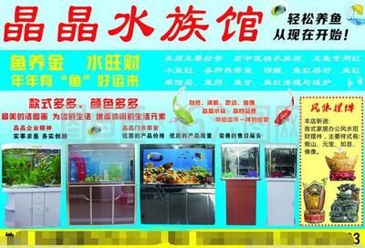 晶晶魚缸官網：晶晶魚缸價格對比分析晶晶魚缸價格對比