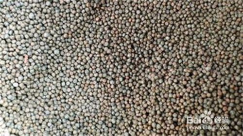 南陽市宛城區彩魚坊漁具店