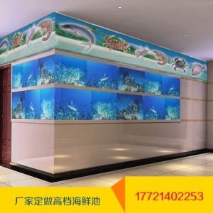 定制魚缸的價格是多少：定制魚缸價格可以根據不同的因素而有很大的差異