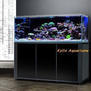 魚缸哪個品牌好一些 魚缸哪個品牌好一些 魚缸百科 第2張