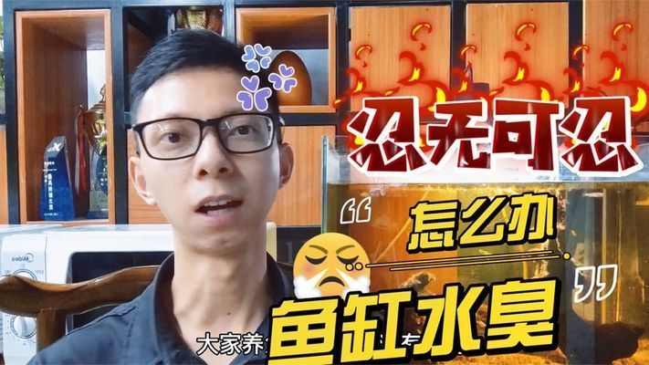魚缸過(guò)濾良好的魚缸可以延長(zhǎng)換水的時(shí)間不換水的重要性：魚缸發(fā)臭怎么辦