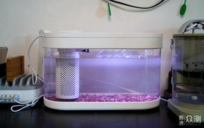 魚缸水渾濁過濾也不行是什么問題（魚缸水渾濁且過濾器不起作用）