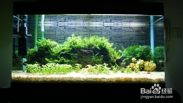 新魚缸開缸前如何準(zhǔn)備：新魚缸開缸前準(zhǔn)備工作