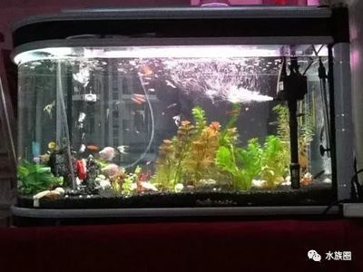 新魚缸開缸前如何準(zhǔn)備：新魚缸開缸前準(zhǔn)備工作
