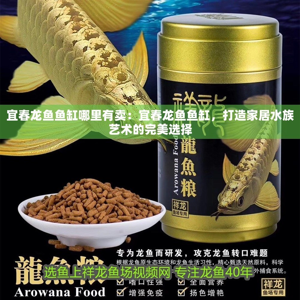 宜春龍魚魚缸哪里有賣：宜春龍魚魚缸，打造家居水族藝術(shù)的完美選擇
