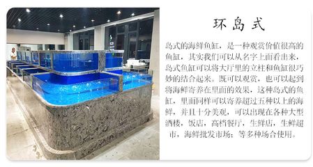 戶外玻璃魚缸制作（制作一個戶外玻璃魚缸需要一些材料和步驟） 戶外玻璃魚缸制作（制作一個戶外玻璃魚缸需要一些材料和步驟） 魚缸百科 第3張