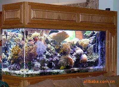 索浦魚缸：索浦魚缸是一種創新設計的魚缸旨在提高觀賞性和實用性和實用性