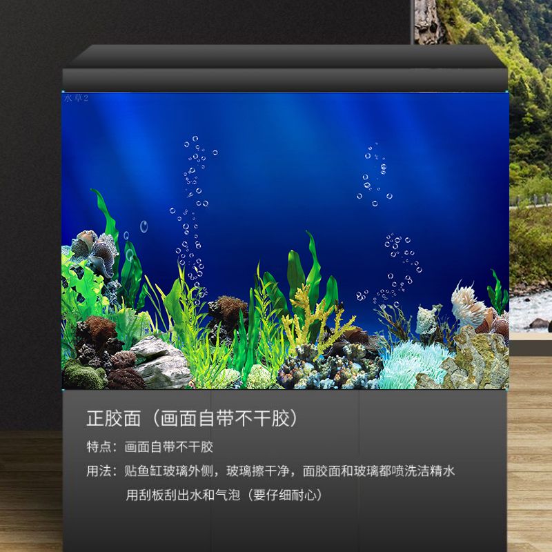 魚缸背景貼紙圖案推薦：魚缸背景貼紙圖案的選擇