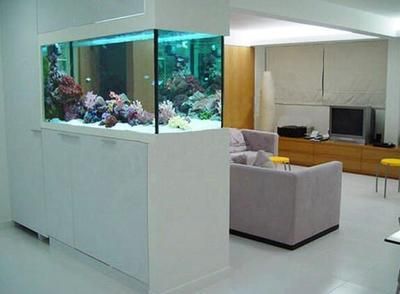 定制魚缸與品牌魚缸的對比：定制魚缸與品牌魚缸對比 定制魚缸與品牌魚缸的對比：定制魚缸與品牌魚缸對比 魚缸百科 第1張