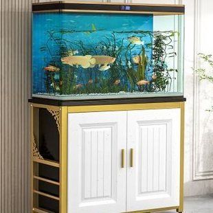 魚缸品牌推薦家用排行榜（2024年被推薦的家用魚缸品牌） 魚缸品牌推薦家用排行榜（2024年被推薦的家用魚缸品牌） 魚缸百科 第3張