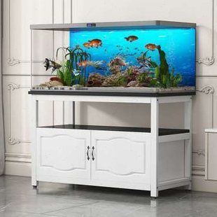 魚缸品牌推薦家用排行榜（2024年被推薦的家用魚缸品牌） 魚缸品牌推薦家用排行榜（2024年被推薦的家用魚缸品牌） 魚缸百科 第4張