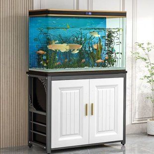 魚缸品牌推薦家用排行榜（2024年被推薦的家用魚缸品牌） 魚缸品牌推薦家用排行榜（2024年被推薦的家用魚缸品牌） 魚缸百科 第5張