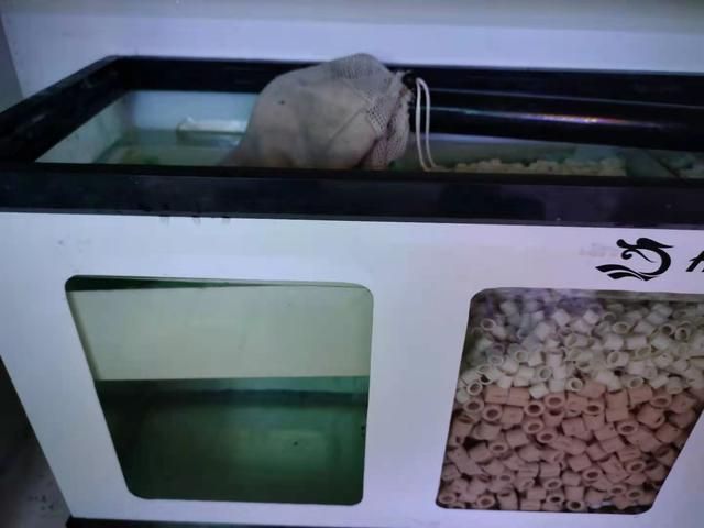 魚缸濾材視頻（如何為你的魚缸選擇合適的濾材） 魚缸濾材視頻（如何為你的魚缸選擇合適的濾材） 魚缸百科 第2張