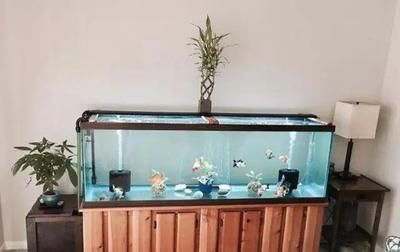 魚缸換新水需要加鹽嗎為什么（魚缸換新水需要加鹽嗎） 魚缸換新水需要加鹽嗎為什么（魚缸換新水需要加鹽嗎） 魚缸百科 第2張