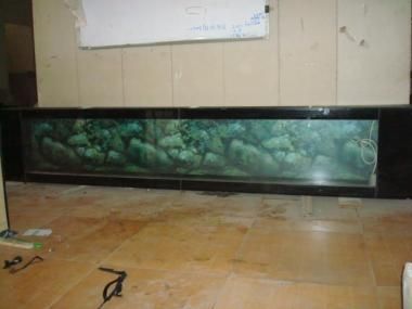 湖北魚缸廠家排名前十名（湖北魚缸產業發展歷程）