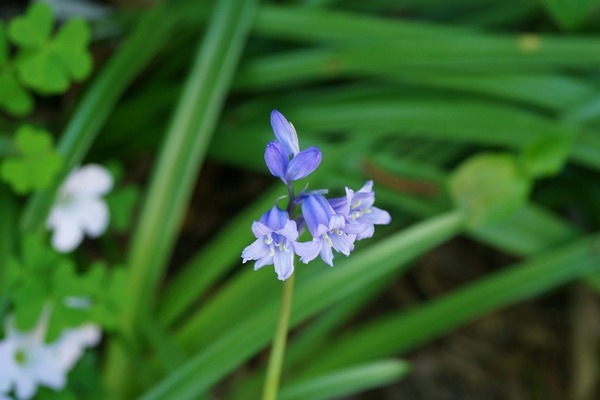 鄢陵縣皮皮水族館（鄢陵縣皮皮水族館電話）