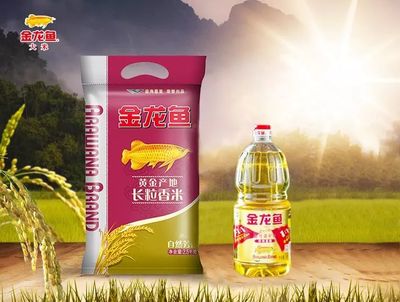 惠陽區淡水永珍水族店（惠陽區淡水永珍水族店地址）