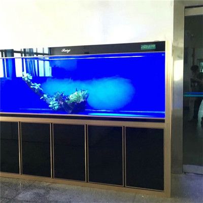 海水生態(tài)魚(yú)缸的日常維護(hù)技巧珊瑚礁生態(tài)揭秘珊瑚礁生態(tài)揭秘：海水生態(tài)魚(yú)缸的制作方法