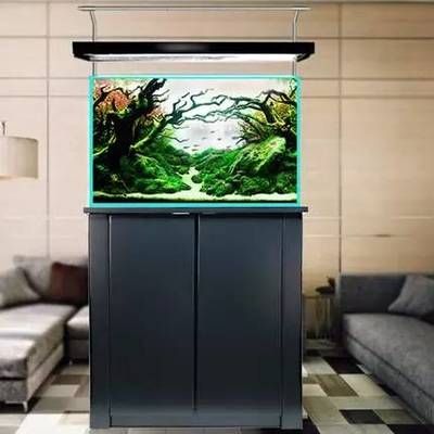 魚缸底柜比魚缸小多少：底柜和魚缸哪個大 魚缸底柜比魚缸小多少：底柜和魚缸哪個大 魚缸百科 第1張