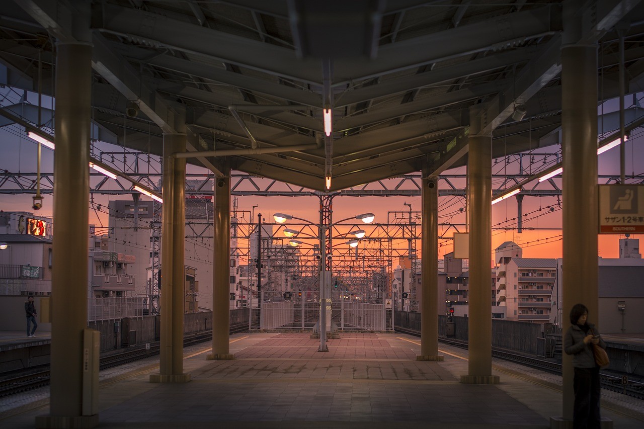 海城市<strong><mark>海州</mark></strong>區(qū)韜哥家庭觀賞魚養(yǎng)殖店