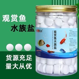 寵也魚(yú)缸（寵也魚(yú)缸濾材細(xì)菌屋大方磚促銷活動(dòng)59元/件） 寵也魚(yú)缸（寵也魚(yú)缸濾材細(xì)菌屋大方磚促銷活動(dòng)59元/件） 龍魚(yú)百科 第2張