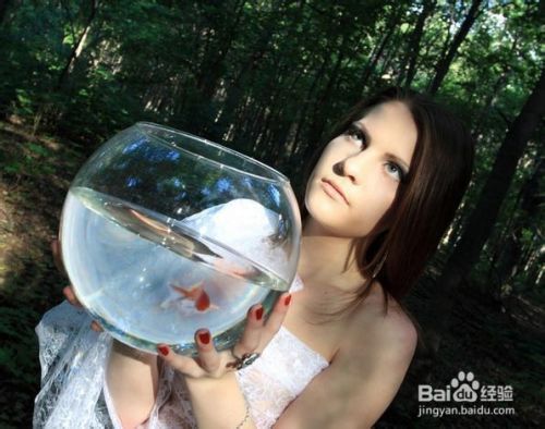 金龍魚身上長白點是什么原因：金龍魚身上長白點可能是由多種原因引起的 金龍魚身上長白點是什么原因：金龍魚身上長白點可能是由多種原因引起的 龍魚百科 第1張