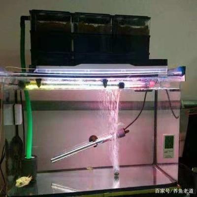 魚缸供氧機制作原理：魚缸供氧機制作原理和技術細節，魚缸供氧機的維護技巧