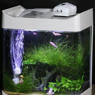 魚缸供氧機制作原理：魚缸供氧機制作原理和技術細節，魚缸供氧機的維護技巧