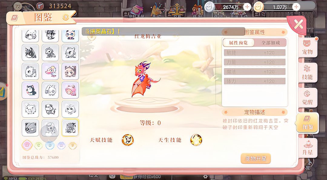 《永恒島》中紅龍寵物如何獲取？ 《永恒島》中紅龍寵物如何獲取？ 龍魚百科 第4張