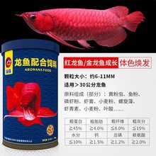 紅眼金龍魚價格多少