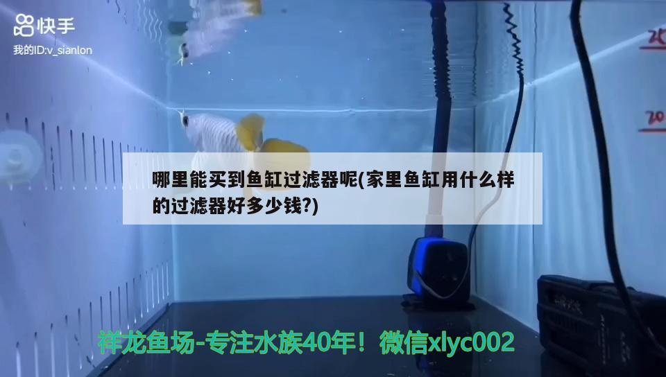 新華區(qū)蘆淼觀賞魚經(jīng)銷店（新華區(qū)蘆淼觀賞魚經(jīng)銷店地址）