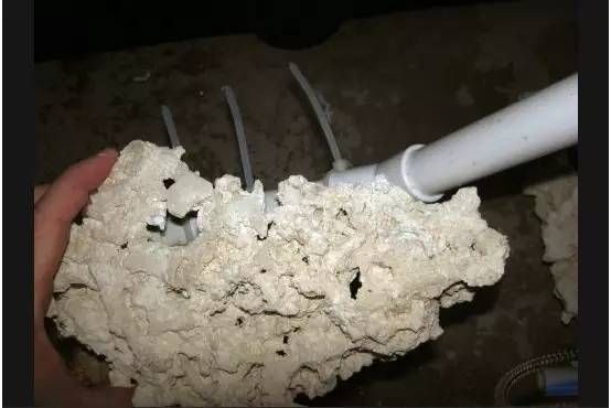 海豚魚缸迷你造景教程：如何為海豚魚缸創建一個迷你人造生態